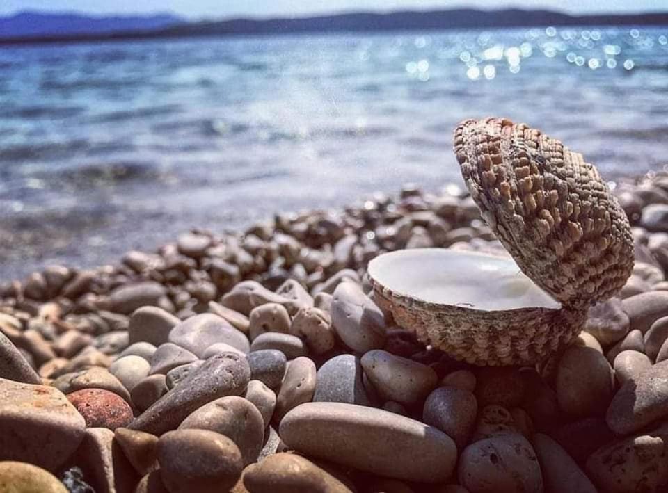 Apartmaji Soncek Izola Eksteriør billede