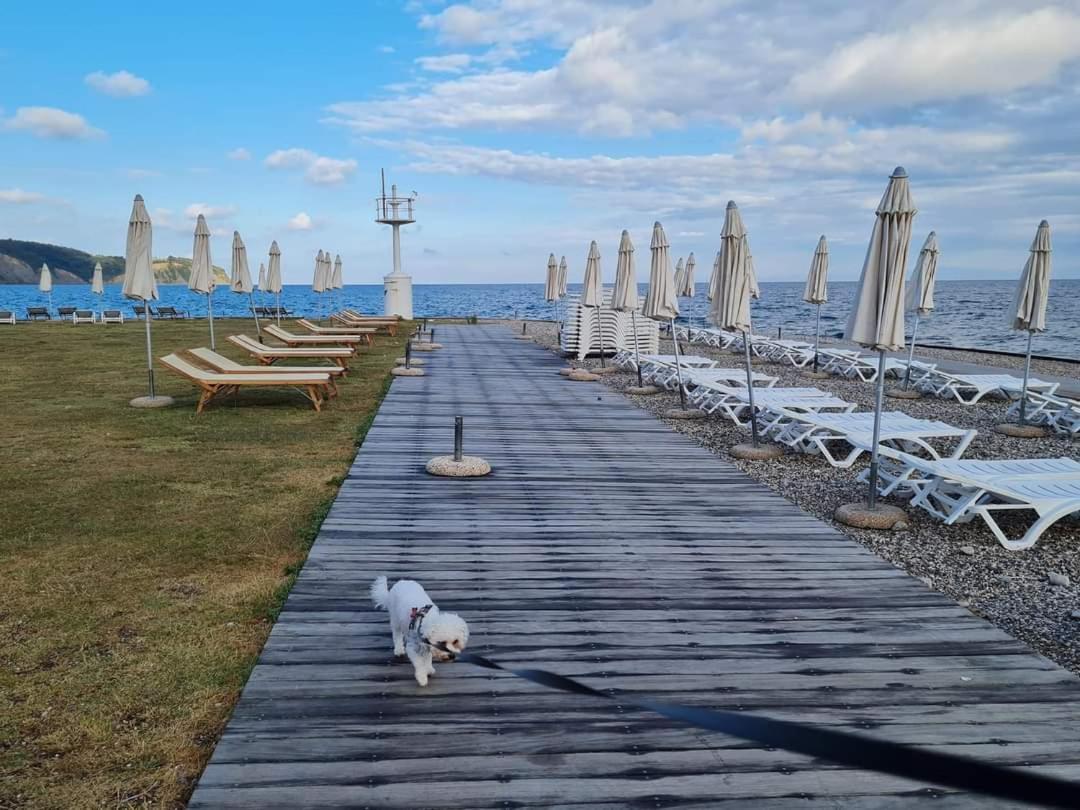 Apartmaji Soncek Izola Eksteriør billede